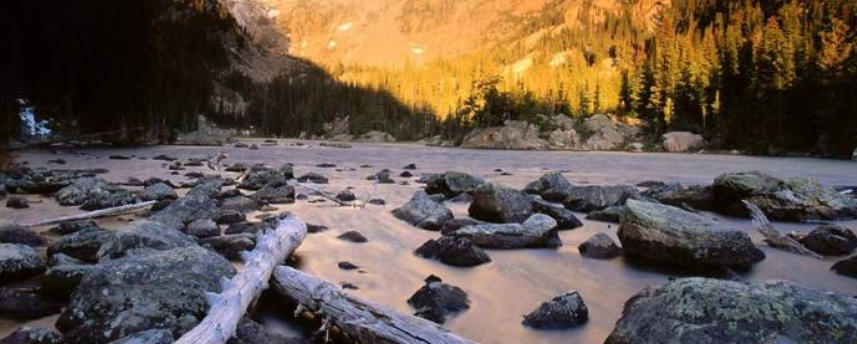 广东绿境园林景观工程有限公司轮播图4